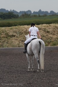 ISIS Dressage Challenge 2008